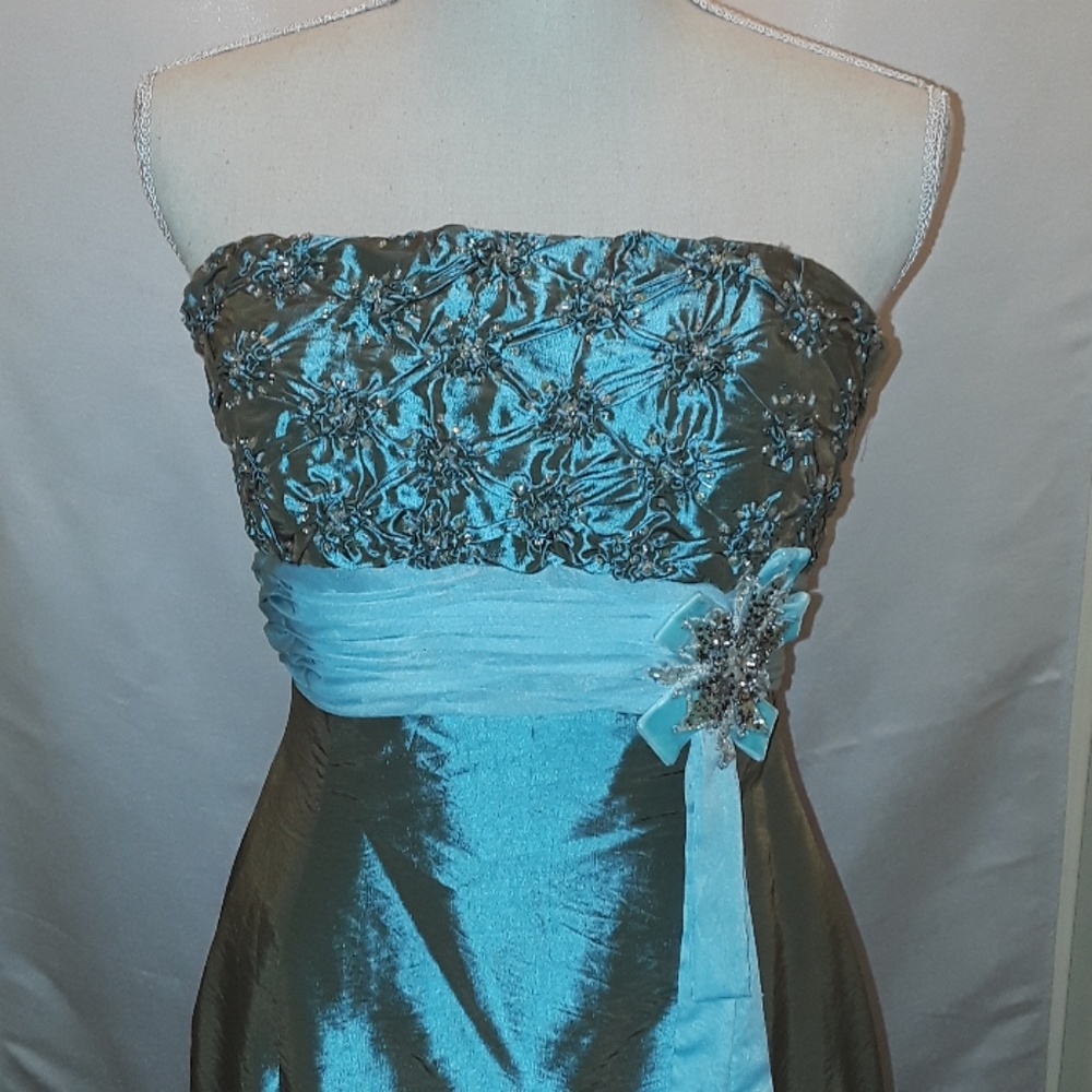 Iridescent Evening Gown